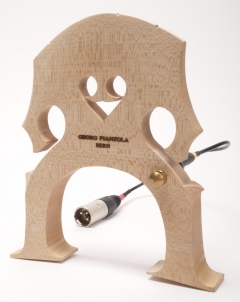 ANS Doublebass Studio